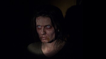 Zombie Diaries 2 (2011) - Found Footage Film Fanart