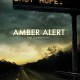 Amber Alert (2012) - Found Footage Films Movie Poster (Found footage Horror)