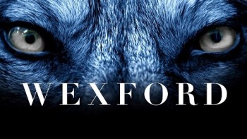 Wexford (2015) - Found Footage Films Movie Poster (Found Footage Horror)