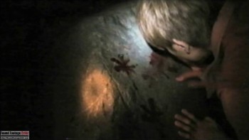 Chichibu Demon (2011) - Found Footage Films Movie Fanart (Found Footage Horror)