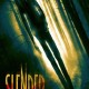 Slender (2016) - Found Footage Films Movie Poster (Found Footage Horror)(