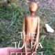 The Tulpa Effect (2011) - Found Footage Films Movie Poster (Slender Man Horror)
