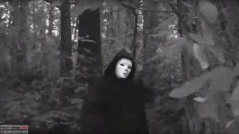 Trial of Leaves (2013) - Found Footage Films Fanart (Found Footage Horror Slender Man Film)
