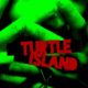 Turtle Island (2013) - Found Footage Films Movie Poster (Found Footage Horror)