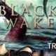 Black Wake (2018) - Found Footage Films Movie Poster (Found footage Horror)