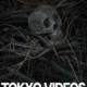 Tokyo Videos of Horror 13 (2015) - Found Footage Films Movie Poster (Found Footage Horror)