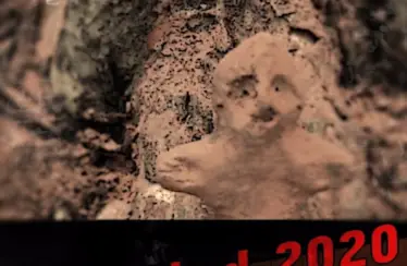 Untitled 2020 (2020) - Found Footage Films Movie Poster (Found Footage Horror)
