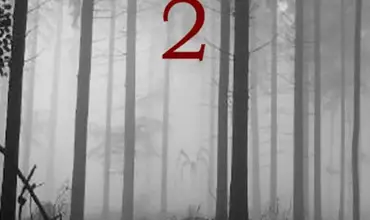 Mystery of Slender Man 2 (2014) - Found Footage Films Movie Poster (Found Footage Horror Movies)