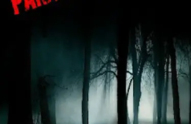 Paranormal Night (2014) - Found Footage Films Movie Poster (Found Footage Horror Movies)