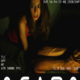 Ocaso (2012) - Found Footage Films Movie Poster (Found Footage Horror Movies)