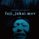 fuji_jukai.mov (2016) - Found Footage Films Movie Poster (Found Footage Horror Movies)