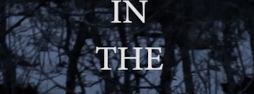 Mystery in the Woods (2022) - Found Footage Films Movie Poster (Found Footage Horror Movies)