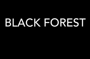 Black Forest (2015) - Found Footage Films Movie Poster (Found Footage Horror Movies)