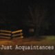 JustAcquaintances - (2012) - Found Footage Web Series Poster (Found Footage Horror Series)